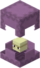 shulker emote