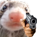 ferretGun emote