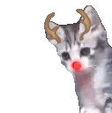 yo emote