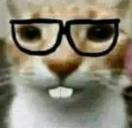 nerd emote