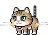 KittyDizzySpin emote