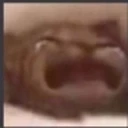 cryCat emote