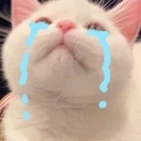 SadPag emoji