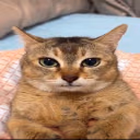 vro emote