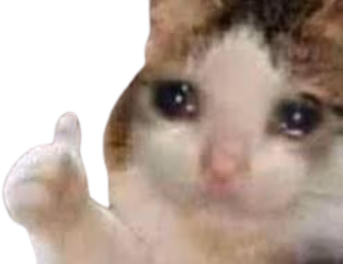 CatThumbsUpSad emote