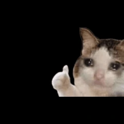 wel_don emote