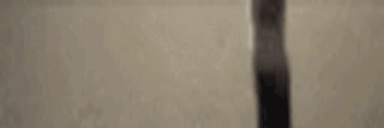 LongestJigglin1 animated emote