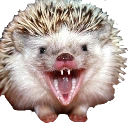 desi_mad emote