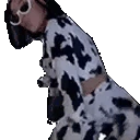 DojaDance emoji