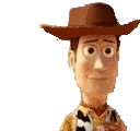 HOWDY emote