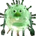 corona_stare emote