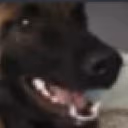 Jooni emote