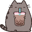 bobacat emote