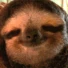 CE_BlankStare emote
