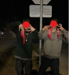 NorteX4 emote