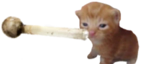 methbert emote