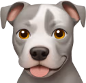 pitbull emote