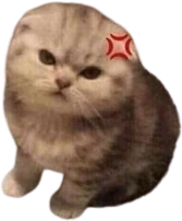 Kitty_angy emote