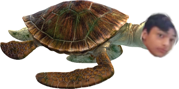 DaveTheTurtle emote