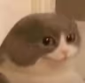 melvin emote