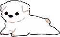 westie_white emote