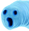 OOOO emote