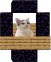catsittingverycomfortablewaitingforwoodlight emote