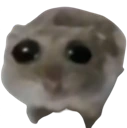 Hamster_sad emote