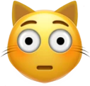 cat_flushed emote