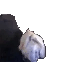 xqcSlam emote