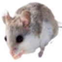 AlabamaBeachMouse emote