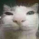 watching emote