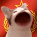 sovietbop emote