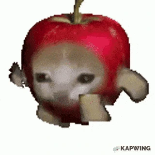 Applecat emoji