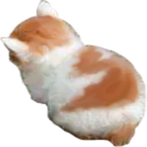 am_angy emote