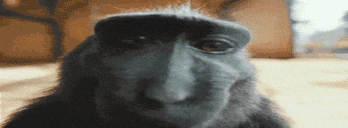 RIZZ emote