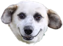 dogola emote