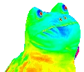 rainbowfrog emote
