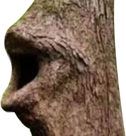 loggers_poggers_FL emote