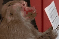 ReadingChat emote