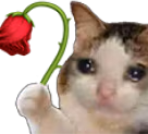 sadRose emote