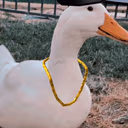 gangster_duck emote