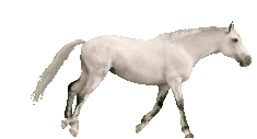 James emoji