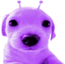 plerp emote