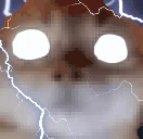 NOW emote