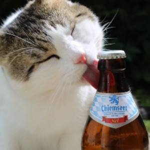 flauschxger avatar