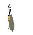 planktonPls emote