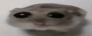 oh emote