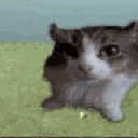 explode emote
