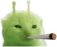 glorpBlunt emote